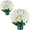 VEVOR Artificial Potted Hydrangeas 20 in 2-Pack Fake Flower Plants White, for Porch, Patio, Entryway, & Home Decor, Indoor & Outdoor Use, Silk and PE Blooms in Pots, Ready to Display Faux Plants