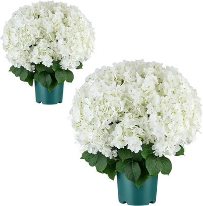Vevor Artificial Potted Hydrangeas White 20