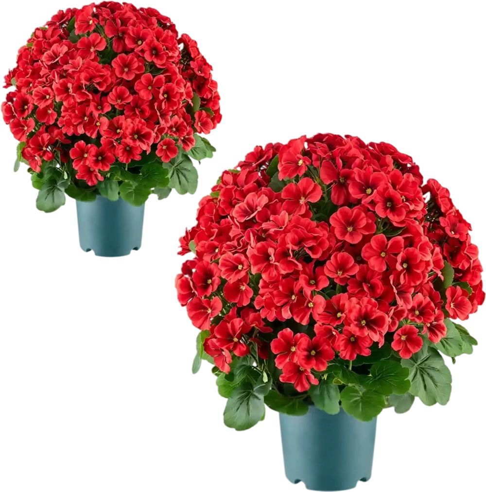 VEVOR Artificial Potted Geraniums 20 in 2-Pack Fake Flower Plants Decor Red, for Porch, Patio, Entryway, & Home Decor, Indoor & Outdoor Use, Silk and PE Blooms in Pots, Ready to Display Faux Plants