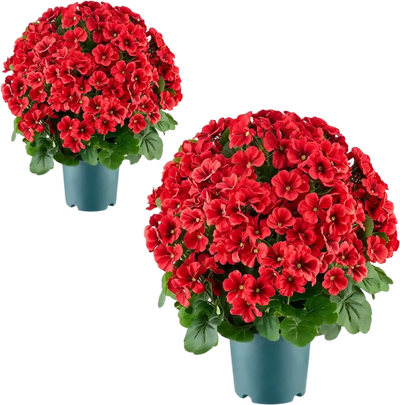 Vevor Artificial Potted Geraniums 20