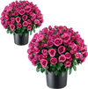 VEVOR Artificial Potted Flowers 18 in 2-Pack Fake Flower Plants Rose Red, for Porch, Patio, Entryway, & Home Decor, Indoor & Outdoor Use, Silk and PE Blooms in Pots, Ready to Display Faux Plants