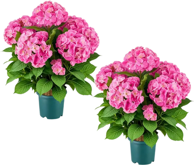 Vevor Artificial Potted Hydrangeas Deep Pink 28