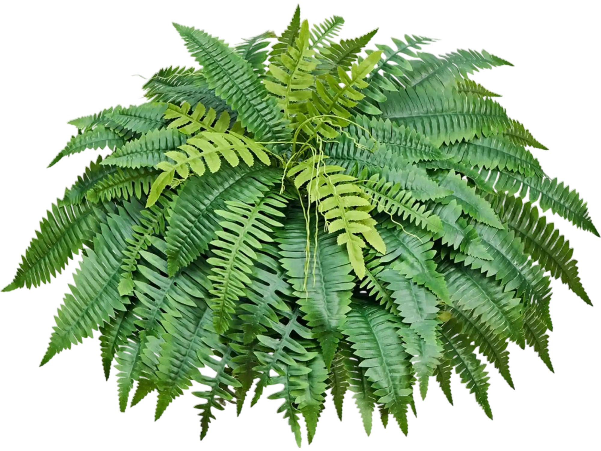 Vevor Artificial Ferns 50