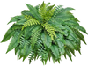 VEVOR Artificial Ferns, 50 Inch Fake Boston Fern Bush Plant with 96 Fronds, Large Faux Greenery for Indoor and Outdoor Decor, Silk & LDPE, Realistic for Home Porch Garden Office Living Room Planter