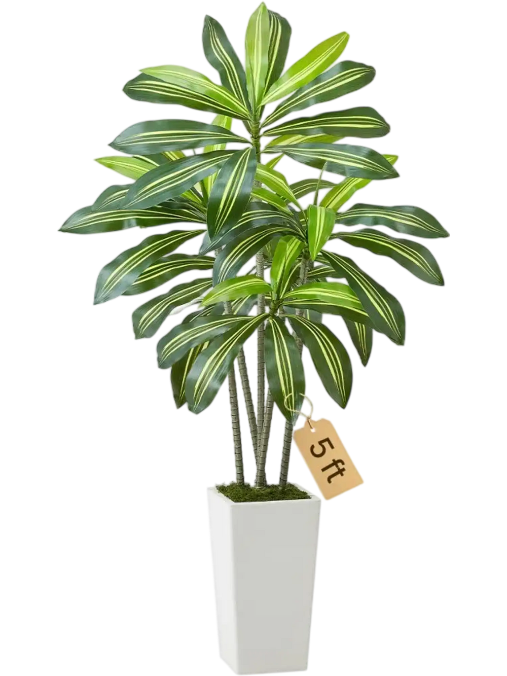 VEVOR Artificial Dracaena Tree 5 ft, Fake Palm Tropical Plants with White Tall Planter, Faux Floor Silk Plant in Pot, Large Trees for Home Office Living Room Decor House Warming, Indoor Outdoor