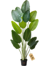 VEVOR Artificial Bird of Paradise 6 ft Tall, Fake Tropical Plants with with 13 Trunks & White Pot, Faux Floor Silk Tree, Large Trees for Home Office Living Room Decor House Warming, Indoor Outdoor