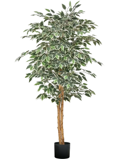 VEVOR 5FT Artificial Ficus Tree with Black Pot, Tall Faux Ficus Plant with Natural Wood Trunk and Realistic Green Leaves, Indoor Fake Silk Tree for Home, Office, Living Room, or Corner Décor