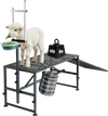 VEVOR Goat Milking Stand, 600 lbs Heavy Duty Goat Stand with Ramp & Feed Bin, Adjustable Headpiece & Tool Basket, Stanchion for Grooming & Hoof Trimming, Metal Livestock Platform for Sheep Lamb, Black