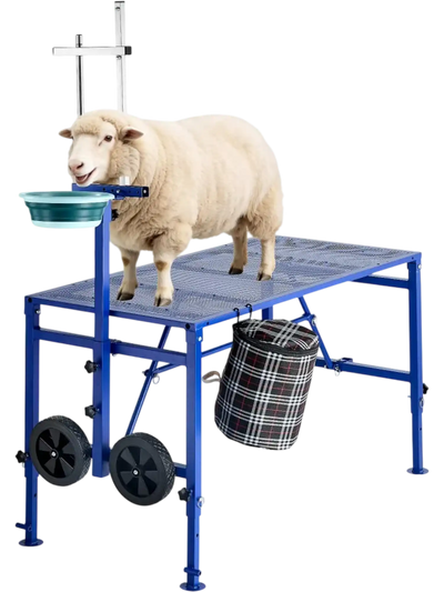 VEVOR Goat Milking Stand, 600 lbs Heavy Duty Foldable Goat Stand with Feed Bin & Wheels, Adjustable Headpiece & Tool Basket, Stanchion for Grooming & Hoof Trimming, Metal Livestock Platform for Sheep