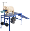 VEVOR Goat Milking Stand, 600 lbs Heavy Duty Foldable Goat Stand with Ramp, Feed Bin & Wheels, Adjustable Headpiece & Basket, Stanchion for Grooming & Hoof Trimming, Metal Livestock Platform for Sheep