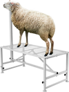 VEVOR Goat & Sheep Stand, 47x23 inch Livestock Stand, Metal Livestock Milking and Shearing Stand 21" to 33" Adjustable Height, with Headpiece and Nose Loop, 500lbs Loading Weight, White