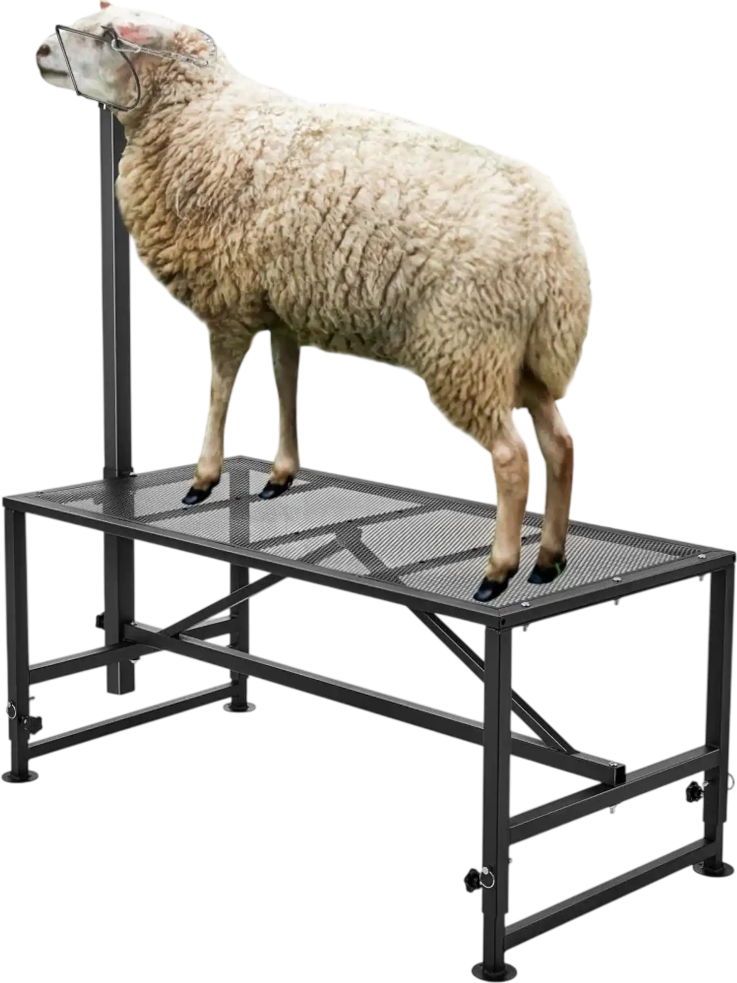 Vevor Livestock Stand Goat & Sheep Milking and Shearing Stand 47