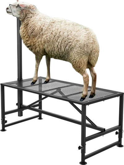 VEVOR Goat & Sheep Stand, 47x23 inch Livestock Stand, Metal Livestock Milking and Shearing Stand 21