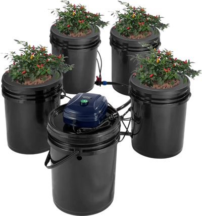 VEVOR RDWC Hydroponics Grow System, Hydroponic Growing Kit with Top Drip, Recirculating Deep Water Culture 4 Buckles and 1 Reservoir, with Air Pump and Water Level Device for Leafy Vegetables