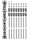 VEVOR LS Truck Cam Kit, 5-Piece Set, Includes Pushrods Springs & Seals, Compatible with 1999-2013 GM Gen3/4 Norris Trucks, Fits 4.8L, 5.3L, 6.0L ,6.2L Engines, OE 12625437 SP011-16