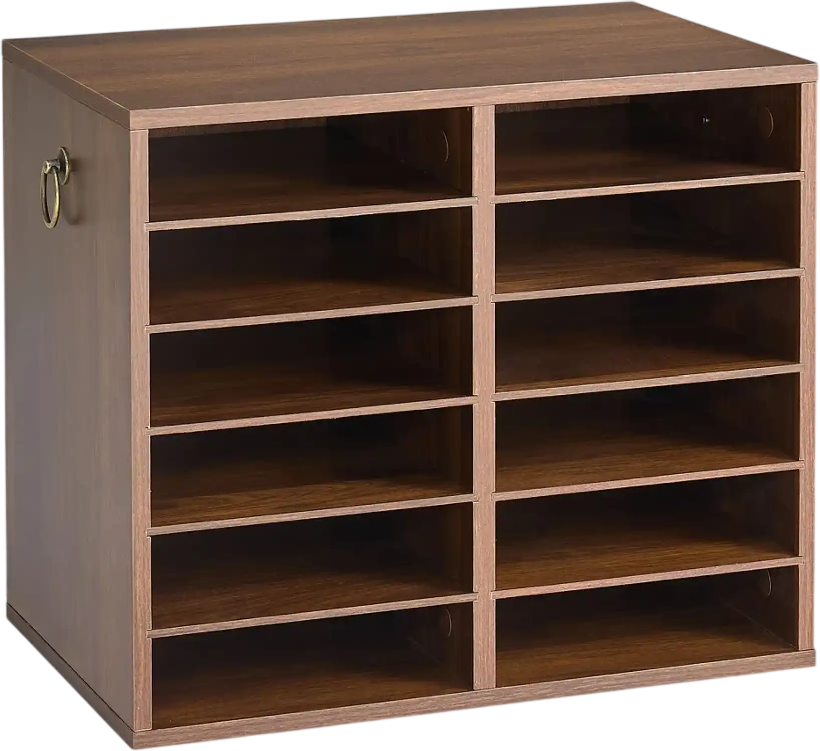 Vevor Literature Organizer Wood 12-Compartment Brown Countertop Mail Sorter New