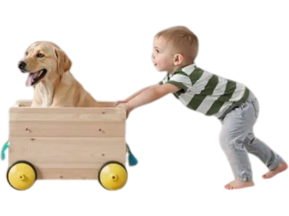 VEVOR Retractable Baby Gate, 34 inch Tall, Extends up to 110 inch Wide, Retractable Gate for Kids or Pets, Mesh Material, Easy to Install for Indoor Stairs, Doorways, Hallways, Playrooms, White