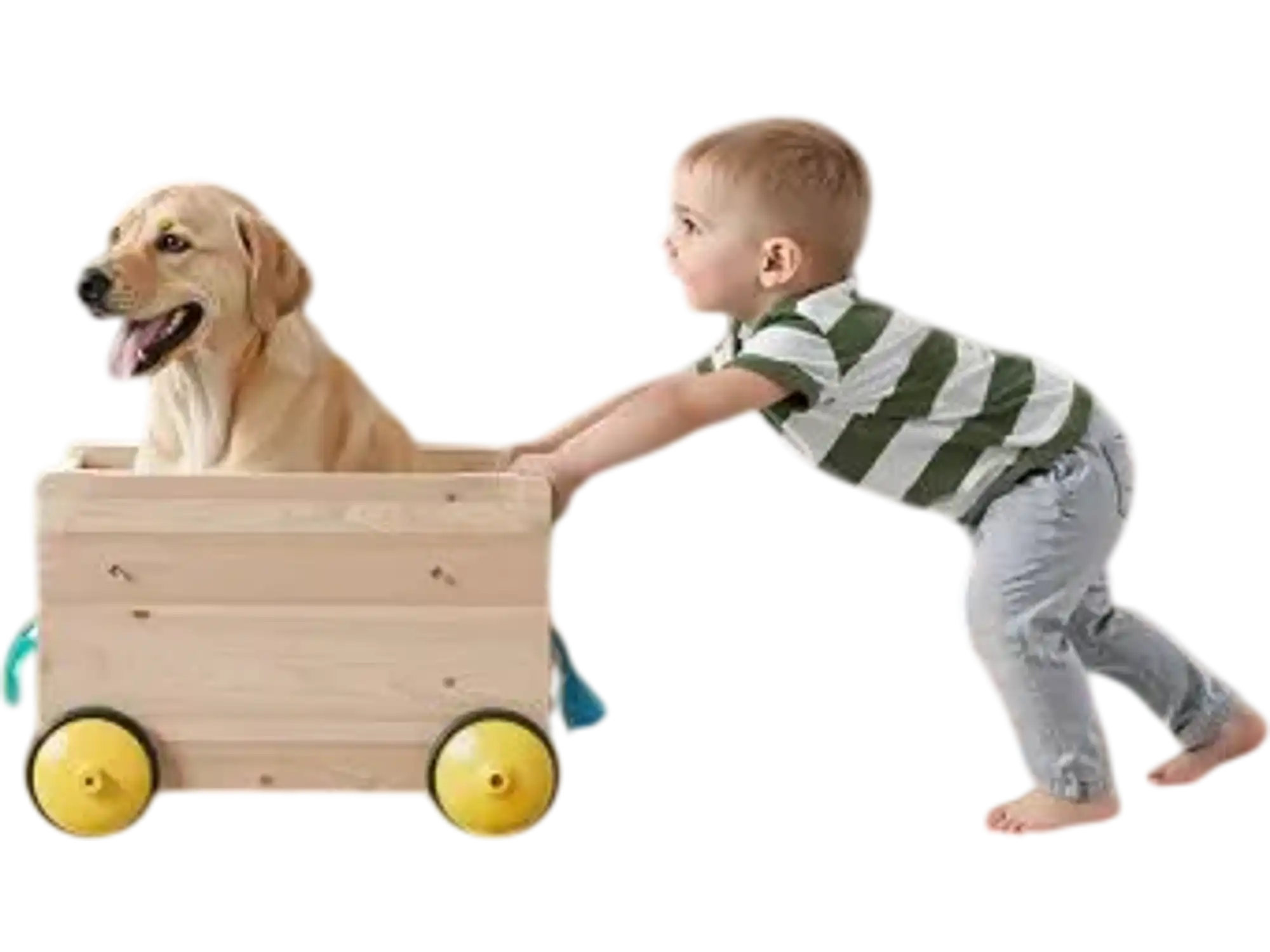 Vevor Retractable Baby Gate 34