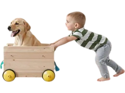 Vevor Retractable Baby Gate 34