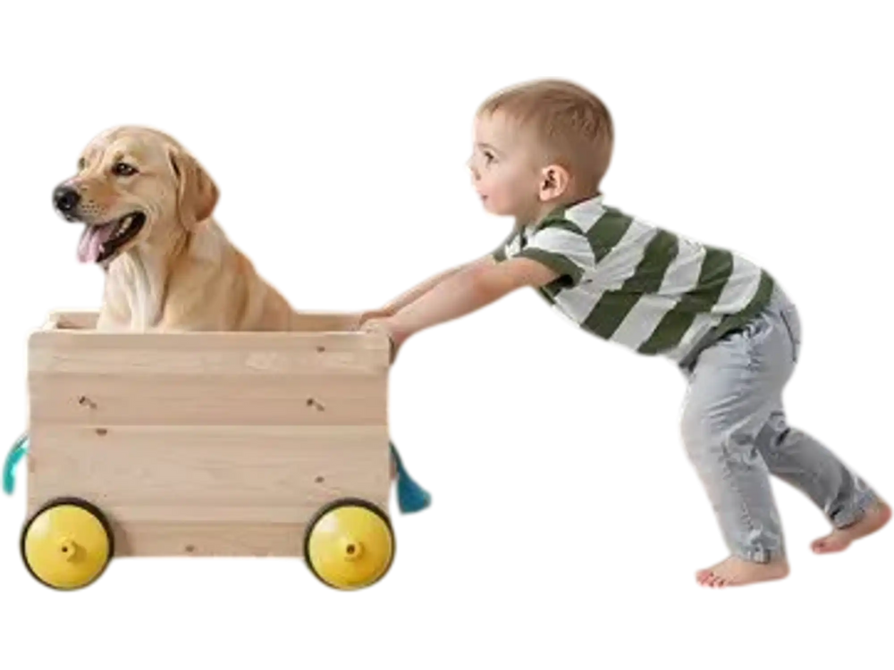 VEVOR Retractable Baby Gate, 34 inch Tall, Extends up to 110 inch Wide, Retractable Gate for Kids or Pets, Mesh Material, Easy to Install for Indoor Stairs, Doorways, Hallways, Playrooms, Black