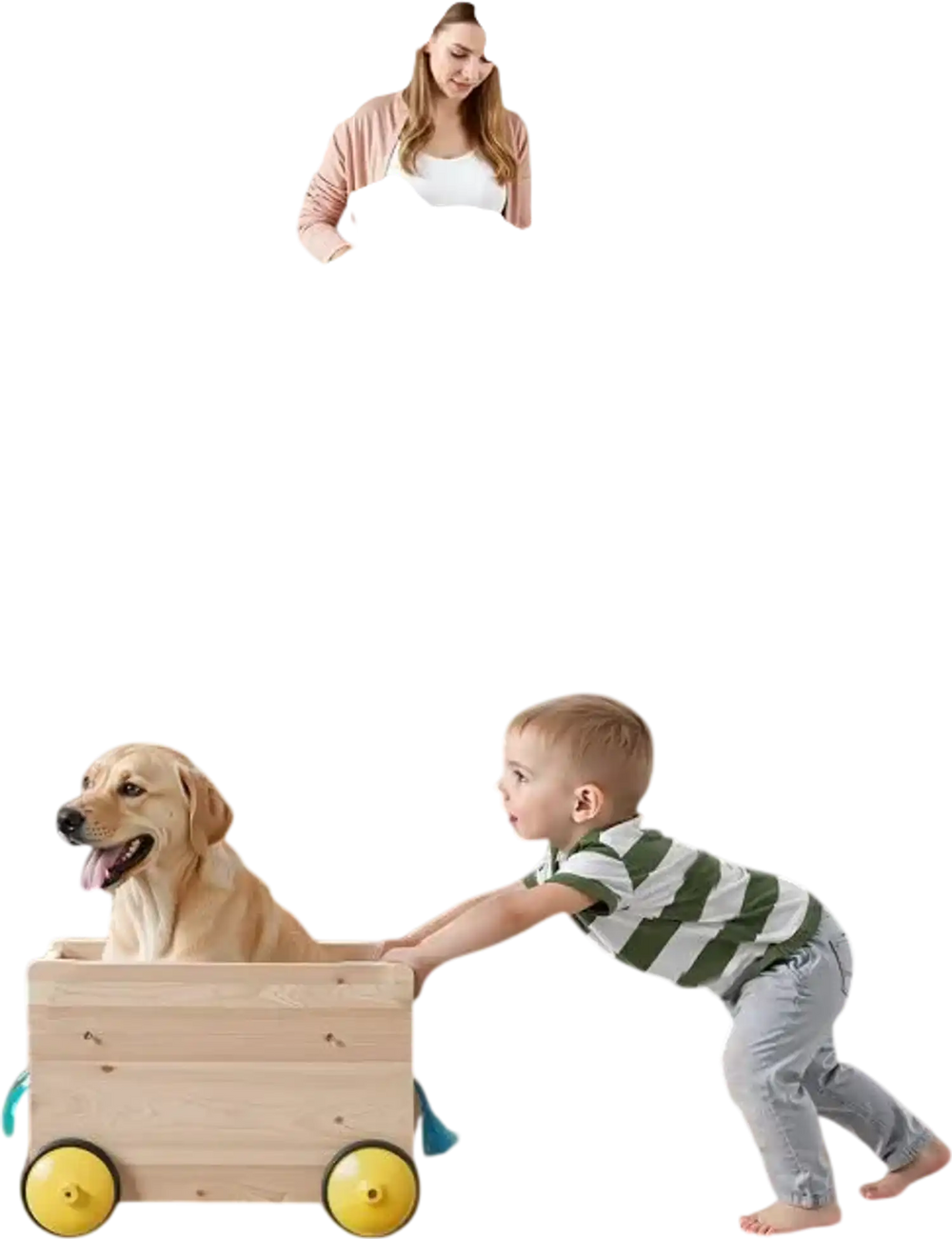 VEVOR Retractable Baby Gate, 34 inch Tall, Extends up to 55 inch Wide, Retractable Gate for Kids or Pets, Mesh Material, Easy to Install for Indoor Stairs, Doorways, Hallways, Playrooms, Black