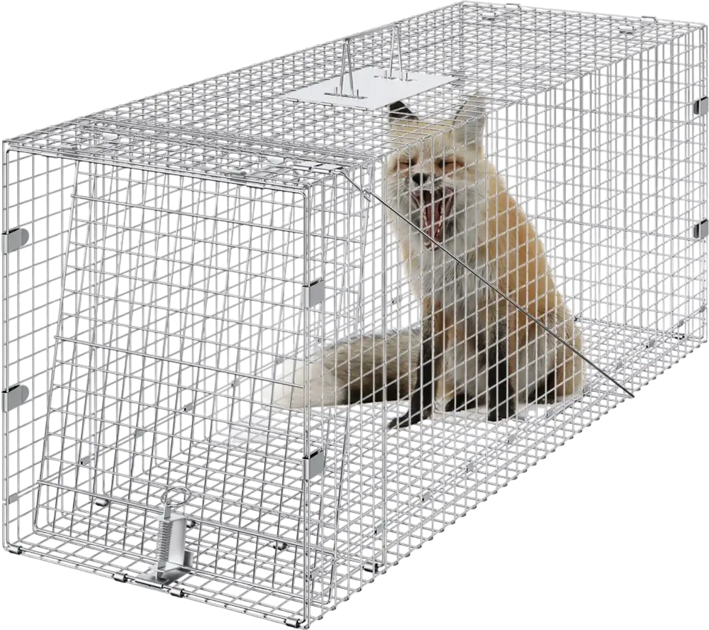 VEVOR Humane Live Animal Trap, Dimensions 50" x 20" x 26", Crafted from Galvanized Iron, Collapsible Design with Carrying Handle for Capturing Stray Dogs, Armadillos, Raccoons, Marmots, and Foxes