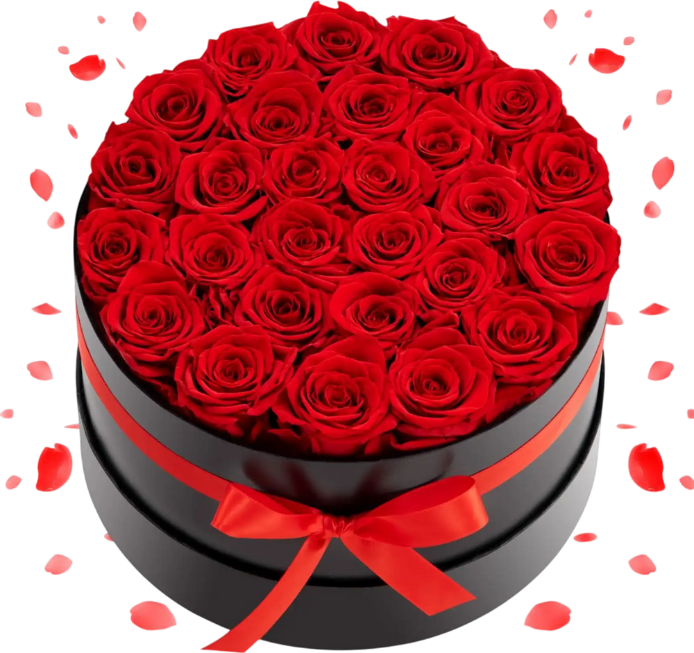 VEVOR Forever Flowers, 27 Preserved Roses in a Box, Eternal Flowers Immortal Bouquet Birthday Present for Delivery Prime Women Her Wife Mothers, Anniversary, Valentine's Day,Christmas, Red