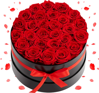 Vevor Preserved Roses Long Lasting Roses Box 27 Flowers Red Round New