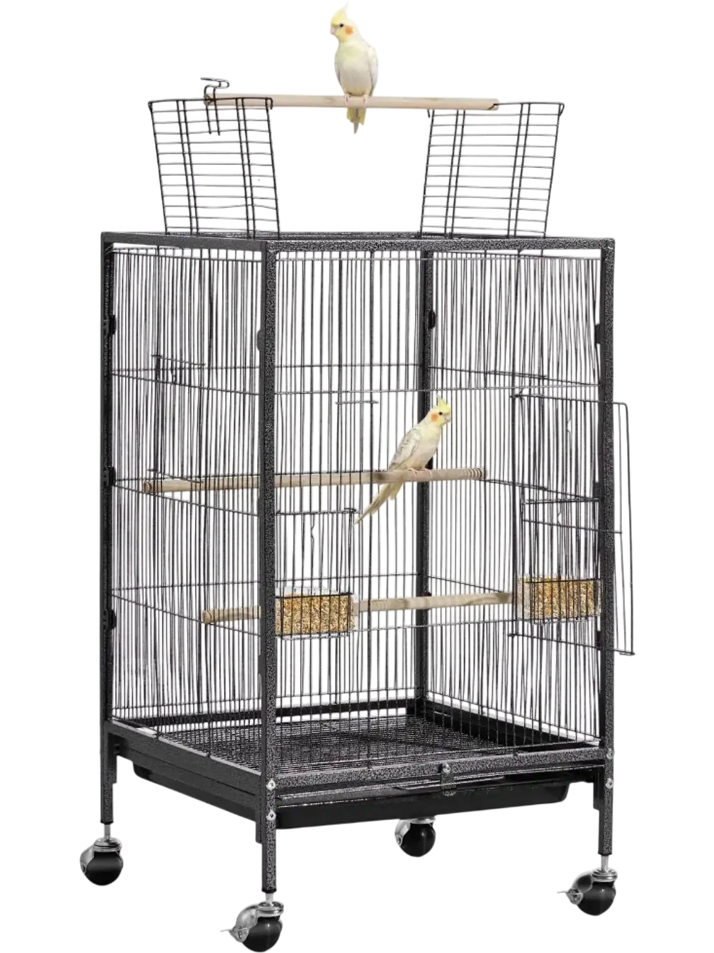 VEVOR Bird Cage, 18 x 18 x 30 inch, Open Flat Top, Wrought Iron Bird Flight Cage with Perches, Slide-Out Tray and Plastic Feeders, Casters, for Parrot, Blue Tit, Cockatiel, Canary, Budgerigar, Conure