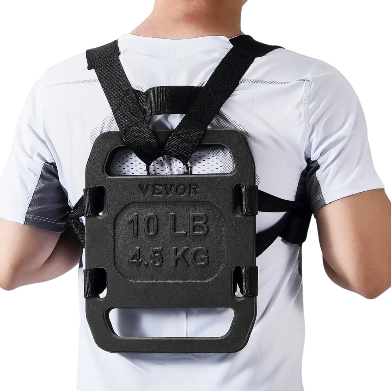 Vevor Weight Plates 10 lb Pair Cast Iron Ruck Plate Set New