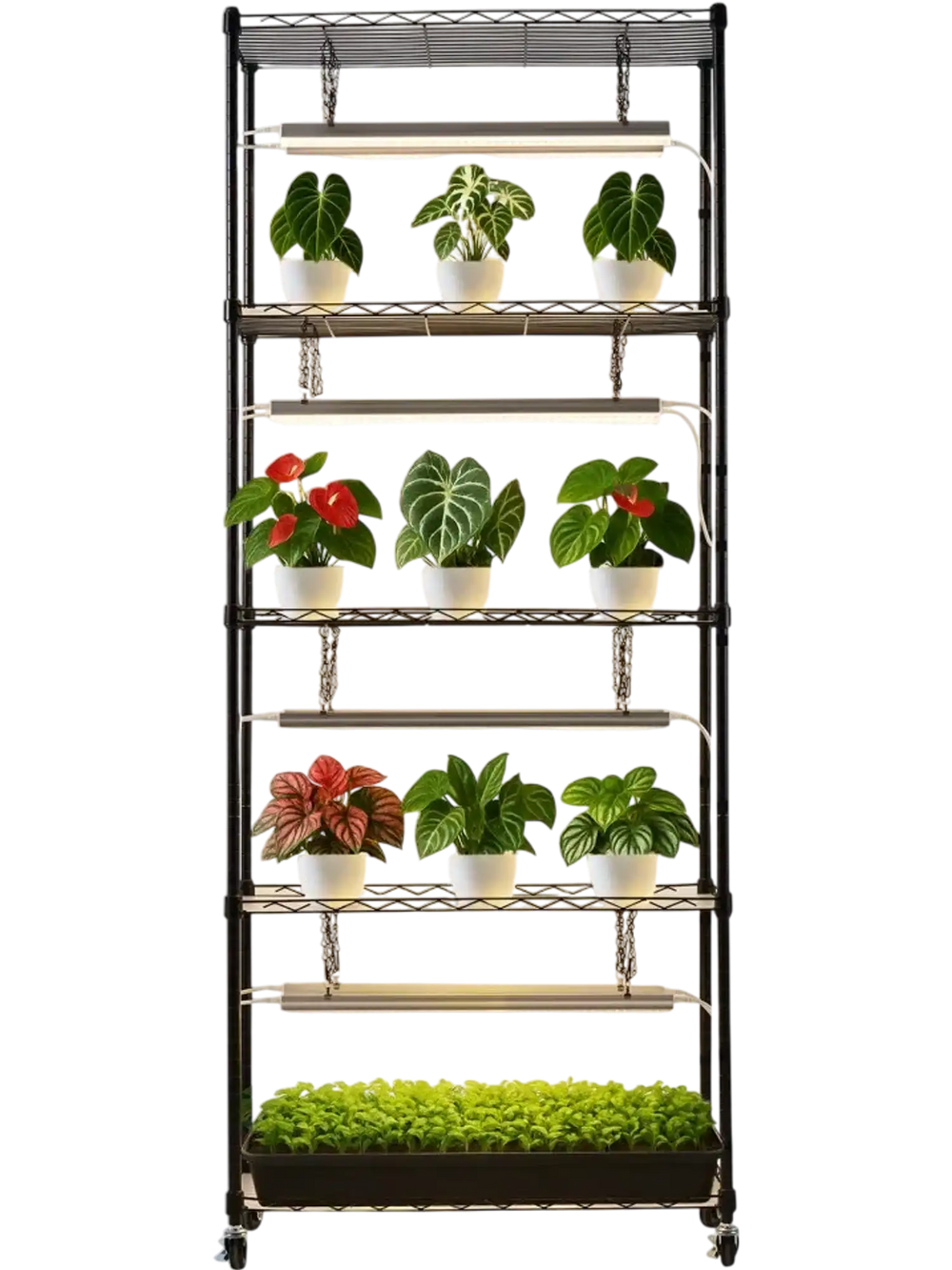 VEVOR Plant Shelf with Grow Light, 5-Tier Indoor Plant Stand, 71 in Tall Plants Display Rack with Wheels & 4/9/14H Timer, 80W T5 LED Full Spectrum Grow Lights, Flower Pot Holder for Seed Starting