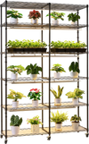 VEVOR Plant Shelf with Grow Light, 6-Tier Double-Row Plant Stand, 71in Tall Indoor Plants Display Rack with Wheels & Timer, 200W Full Spectrum Grow Lights, Metal Flower Pot Holder for Seed Starting