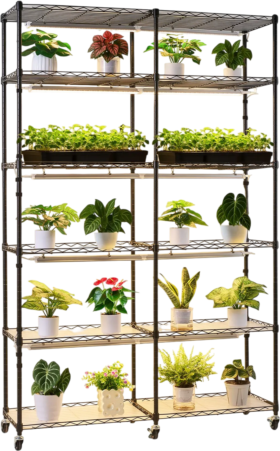 VEVOR Plant Shelf with Grow Light, 6-Tier Double-Row Plant Stand, 71in Tall Indoor Plants Display Rack with Wheels & Timer, 200W Full Spectrum Grow Lights, Metal Flower Pot Holder for Seed Starting
