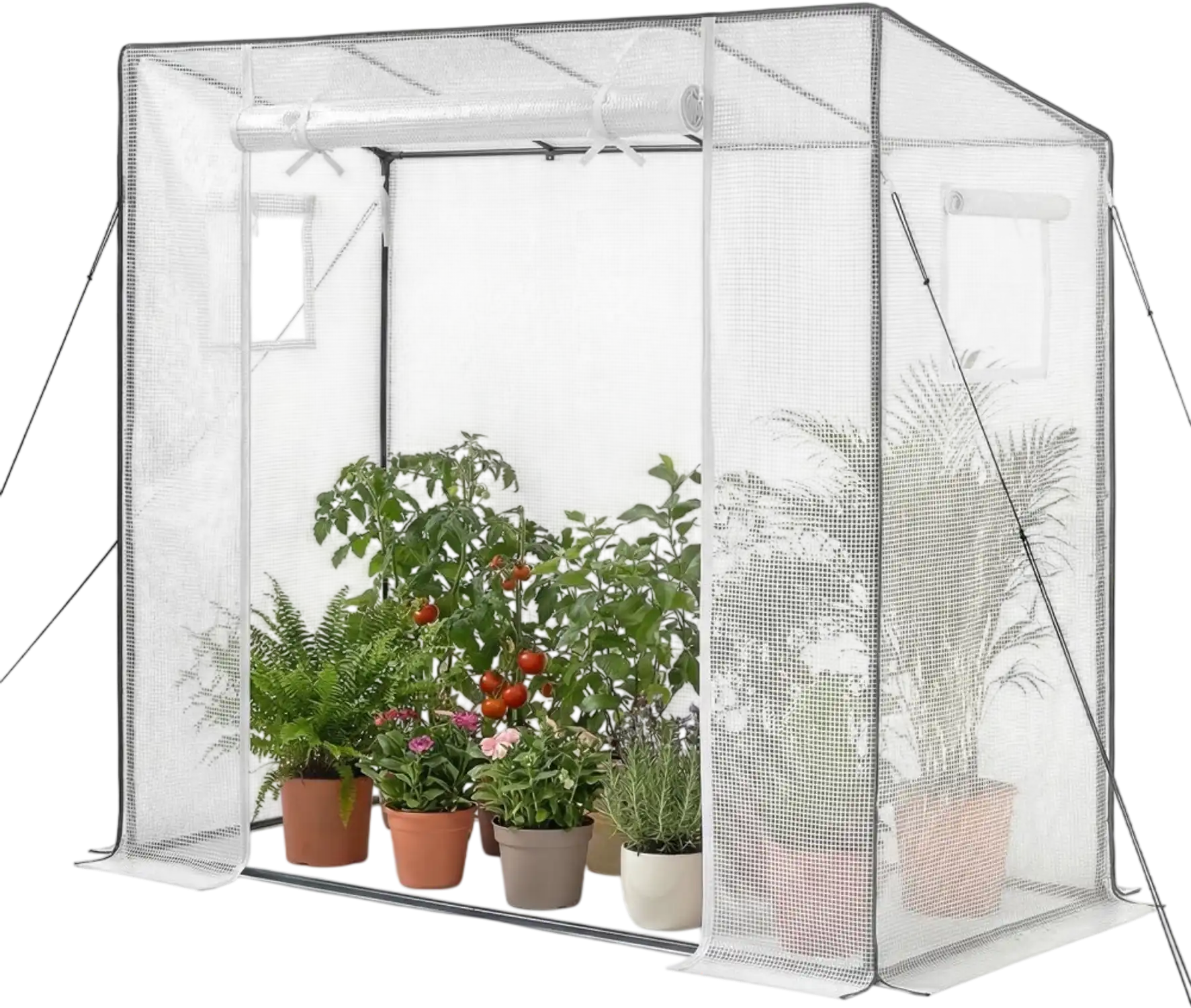 Vevor Greenhouse Walk-In Outdoor Portable Plant Hot House with Windows 76.8