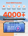 Vevor LiFePO4 Lithium Battery 24V 200Ah 5120Wh with Built-in 100A BMS New