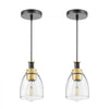 VEVOR 1-Light Pendant Light, 2 Pack, Kitchen Island Lights with Clear Glass Shade & Hanging Cord, Black and Gold Finish, Adjustable Height, Pendant Lighting for Bedroom, Hallway, Entryway, Kitchen