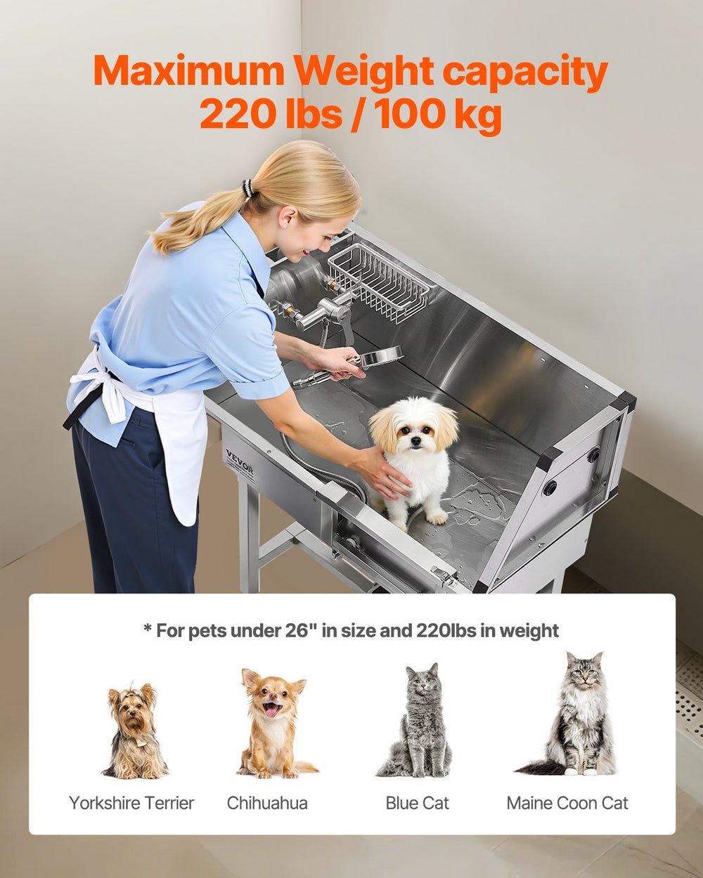 Maximum weight capacity 220 lbs / 100 kg