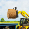 VEVOR Pallet Fork Frame Attachment with 42-inch Skid Steer Pallet Forks 4000 lbs