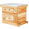 VEVOR Bee Hive 20 Frame Bee Hives Starter Kit, Beeswax Coated Fir Wood, 1 Deep + 1 Medium Bee Boxes Langstroth Beehive Kit, Transparent Acrylic Windows with Foundations for Beginners Pro Beekeepers
