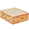 VEVOR Bee Hive Medium Box Starter Kit, 100% Beeswax Coated Natural Fir Wood, Langstroth Beehive Kit with 10 Frames and Foundations, Transparent Acrylic Bee Windows for Beginners and Pro Beekeepers