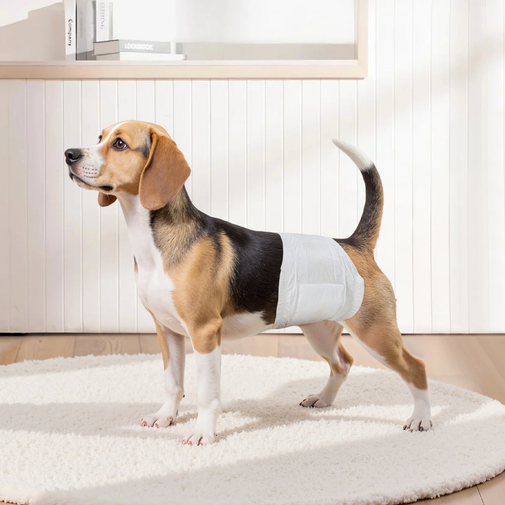 VEVOR Disposable Male Dog Diapers, Super Absorbent Male Dog Wraps, 360 ° Leak-Proof Belly Bands with Wetness Indicator for Doggies in Heat, Training, Incontinence - S, 96 Count (2 Packs of 48)
