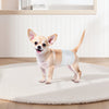 VEVOR Disposable Male Dog Diapers, Super Absorbent Male Dog Wraps, 360 ° Leak-Proof Belly Bands with Wetness Indicator for Doggies in Heat, Training, Incontinence - XS, 96 Count (2 Packs of 48)