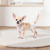 VEVOR Disposable Dog Diapers, Super Absorbent Female Dog Diapers, 360° Leak-Proof Female Doggy Pet Diaper with Wetness Indicator for Heat Period, Training, Incontinence - XS, 96 Count (2 Packs of 48)