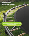 Exceptional bouncing power (spring and mat detail graphic)