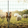 VEVOR Electric Fence Netting, 35" H x 164' L, PE Net Fencing with Posts & Double-Spiked Stakes, Utility Portable Mesh for Goats, Sheep, Lambs, Deer, Hogs, Dogs, Used in Backyards, Farms, and Ranches