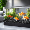 VEVOR Black River Rocks, 1-2 inch 15 lbs, Smooth & Polished Natural Pebble Stones, Decorative Garden Landscaping Stones, Paving Plant Rocks for Fish Tank, Flower Pots, Water Fountains, Pathways, Backyard