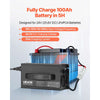 VEVOR 24V 20A Lithium Battery Charger, 29.2V, AC-DC LiFePO4 Smart Charger, with Anderson Connector, LED Indicator, 0V Activation, for Lithium LiFePO4 Deep Cycle Rechargeable Batteries of Boat, RV