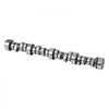 VEVOR Lifter Camshaft Kit, 13-Piece Set, Gray Cast Iron Engine Cam, Compatible with Norris trucks from 1999-2013 GM Gen3/4, Fit 1999-2013 LS-Based Engines (Silverado, Sierra, Tahoe, Yukon/LS1)