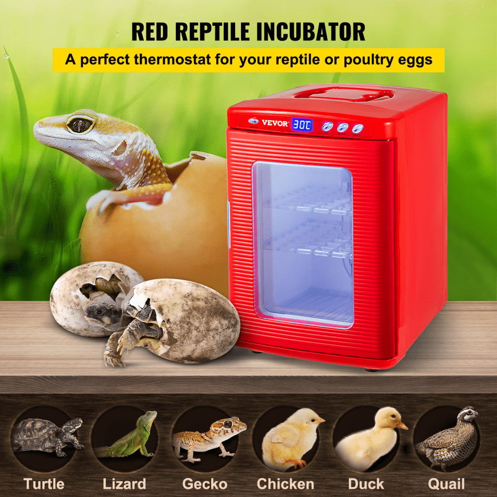 VEVOR Reptile Incubator 25L Digital Egg Incubator 5-42°C for Small Reptiles