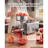 VEVOR Electric Tomato Strainer 250W Food Mill and Sauce Maker 200 lbs/H, Commercial Grade For Apple Sauce, Strawberry and Blueberry Jam, Stainless Steel Tomato Milling Press Machine, Large Hopper